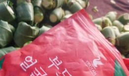 正宗糖心吊柿饼的韩国产地与特色介绍