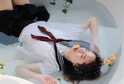 菜鸟糖心：甜蜜爱情与成长的小说在线阅读