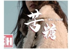糖心陪你追剧：畅享最新热门剧集在线观看