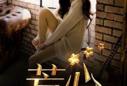 风起糖心小说在线阅读：甜蜜恋爱故事，感受青春的悸动与成长