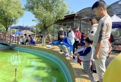 糖心米宝全集在线观看 | 精彩动画与萌宠故事等你来享