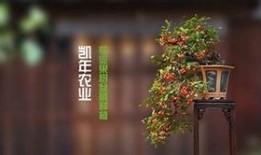 糖心小狐狸在线观看高清完整版：甜蜜冒险故事等你来探险！