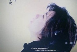 甜蜜爱情：情书糖心小说在线阅读，感受浪漫与温暖