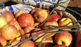 团购国产糖心苹果价格是多少？享受美味与实惠的最佳选择！