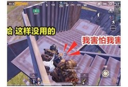 糖心在线二区乐趣无穷，让你畅享甜蜜生活新体验