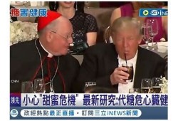 糖心两宝：温馨家庭与爱的成长故事在线阅读