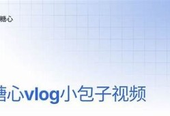 揭秘糖心Vlog：带你走进无与伦比的日常生活记录