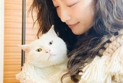 糖心官方网站短视频免费在线观看，精彩内容不容错过