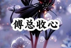 糖心十年在线阅读无弹窗，深度探索青春与成长的故事