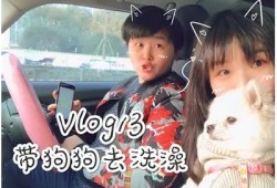 糖心VLOG：探索可爱柚子猫的生活日常与趣味瞬间