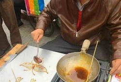 糖心阳光：甜蜜青春的浪漫故事在线阅读
