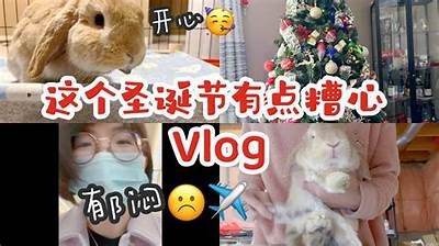 可爱兔糖心Vlog：带你走进兔兔的甜蜜日常生活