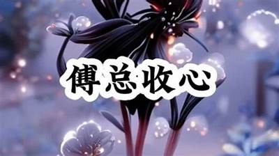 糖心十年在线阅读无弹窗，深度探索青春与成长的故事