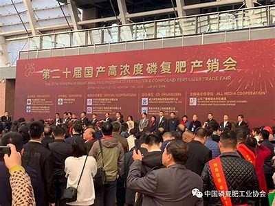 谁有糖心视频？分享最新在线观看链接与资源
