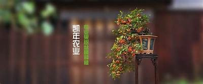 糖心小狐狸在线观看高清完整版：甜蜜冒险故事等你来探险！
