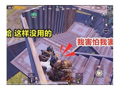 糖心在线二区乐趣无穷，让你畅享甜蜜生活新体验